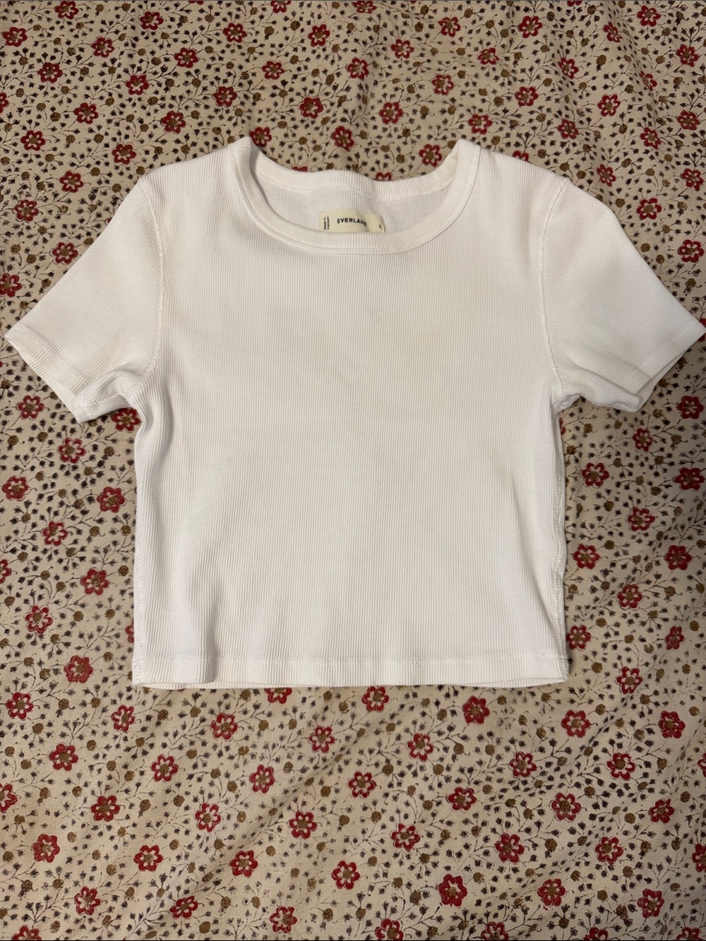 Everlane White Cropped Short-Sleeve Ribbed Tee